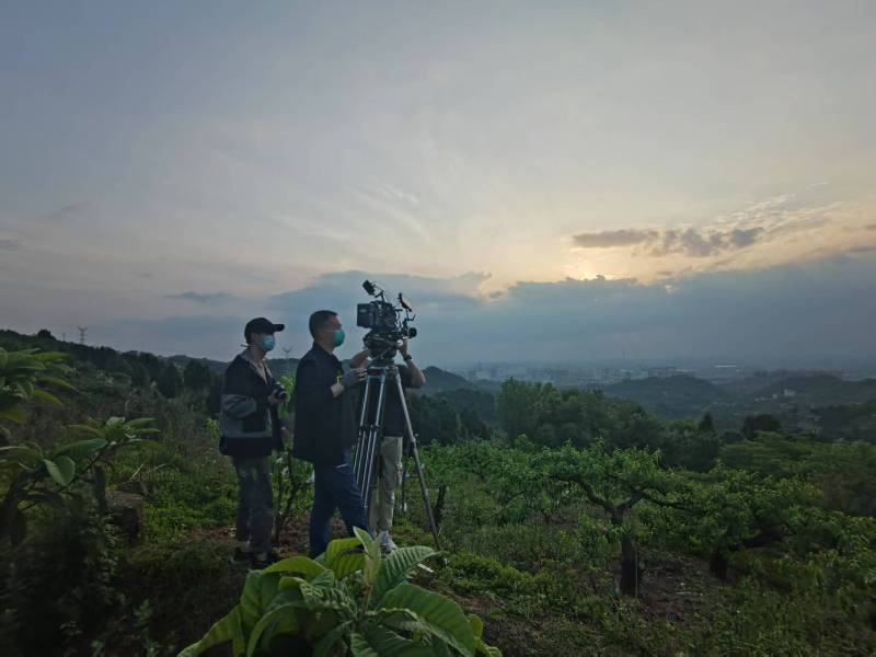 创意破圈！吉木萨尔县电商产品宣传视频用故事化叙事引爆流量