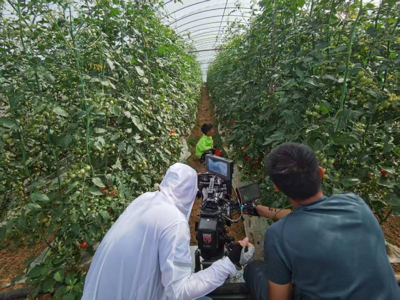 吉木萨尔县产品宣传视频拍摄公司进阶指南，助力品牌抢占传播高地